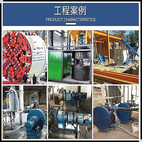 工業(yè)軟管泵及BW 250型泥漿泵在礦山技術(shù)中的應用